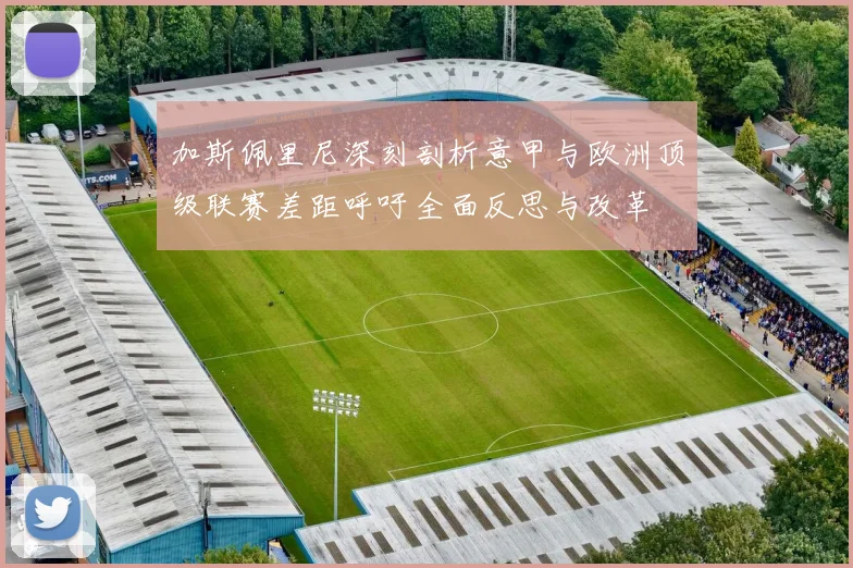 加斯佩里尼深刻剖析意甲与欧洲顶级联赛差距呼吁全面反思与改革