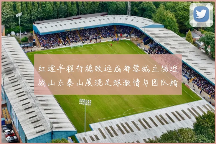 红途半程行稳致远成都蓉城主场迎战山东泰山展现足球激情与团队精神